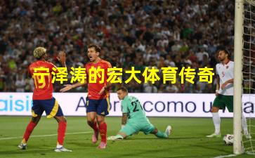 宁泽涛的宏大体育传奇