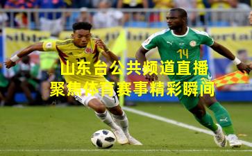山东台公共频道直播聚焦体育赛事精彩瞬间
