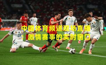 中国体育频道现场直播：激情赛事的实时窗口
