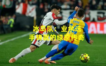 冰岛队：业余选手铸就的绿茵传奇