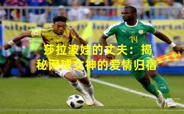 莎拉波娃的丈夫：揭秘网球女神的爱情归宿