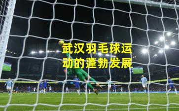 武汉羽毛球运动的蓬勃发展